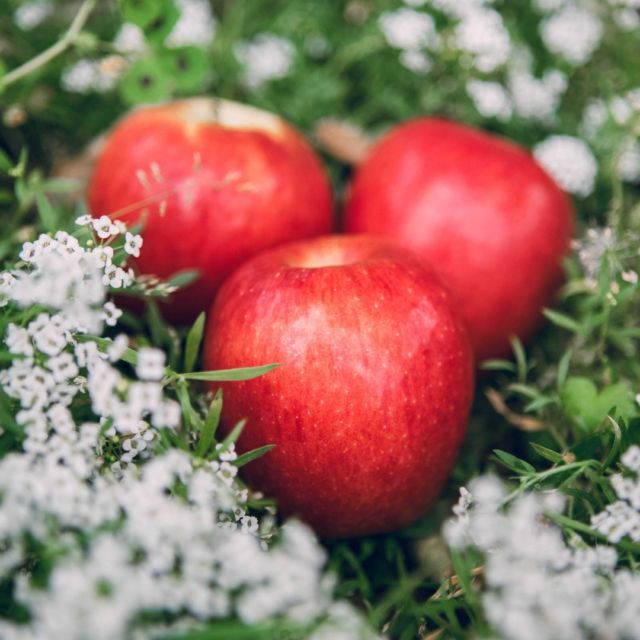 Jazz Apple
