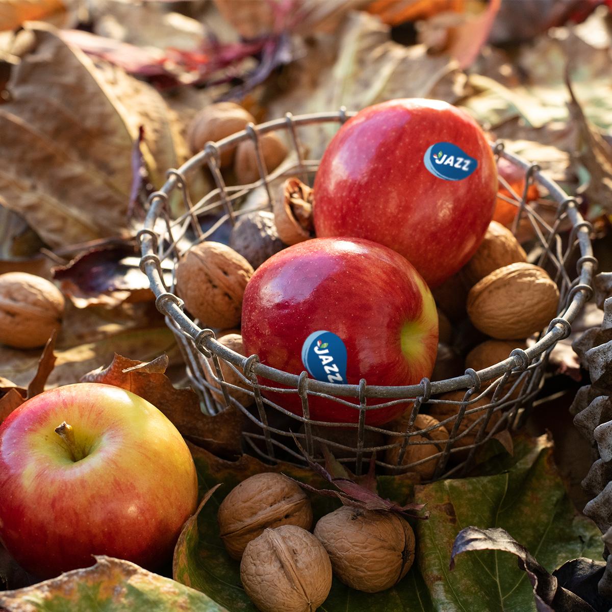 October 21st – Apple Day!